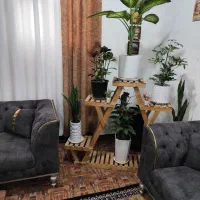 استند گل