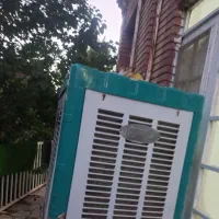 کولرابی درحد نو