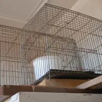 قفس پرنده