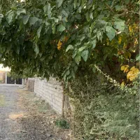فروش باغچه ۷۰۰ و ۱۴۰۰ متری چهاردیواری ،اسلامشهر|فروش دفتر صنعتی، کشاورزی، تجاری|بهارستان, |دیوار