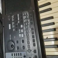 ارگ|پیانو، کیبورد، آکاردئون|قم, شاه ابراهیم|دیوار