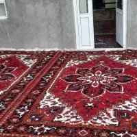 فرش ۶ متری|فرش|تبریز, |دیوار