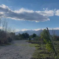 فروش چند قوارره زمین سند دار با چشم اندازی زیبا