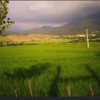 زمین-500-متری-چسبیده-به-بافت-شهری