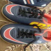 کفش نو|کیف، کفش، کمربند|دورود, |دیوار