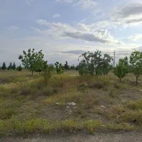 زمین باغستان ثامن پشت ۴۵ متری
