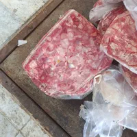 سنگدان گوشتی