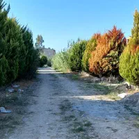 250-متر-جای-دنج-داخل-بافت-شهر