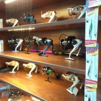 فروشگاه تجهیزات ماهیگیری کرج فیشینگ