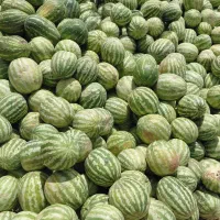 هندوانه