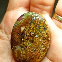 نگین های شجر عالی