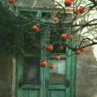 خانه اجاره ای
