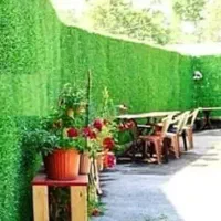 ترون نایلکسی