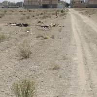 زمین-یزدانشهر-قسمت-چهارم-چهاراه-دوم
