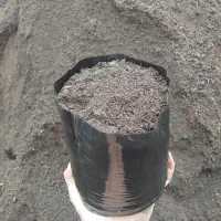 نهال کیوی (کیسه آماده با خاک )