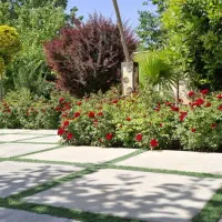 400زمین-سند-6دانگ-اقدسیه-افشاریه-دهکدهورزشی