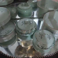 ظروف پذیرایی نو