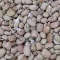 لوبیا آشی