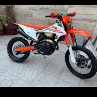 تریل برمودا yb