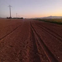 اجاره زمین کشاورزی|اجارهٔ دفتر صنعتی، کشاورزی، تجاری|چهاردولی, |دیوار