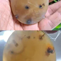 نگین انگشتر