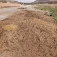 ۶ خاور کود گوسفند بدون اشغال