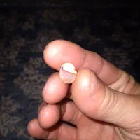 سنگ بابا قوری یخی|کلکسیون اشیاء عتیقه|کرمانشاه, |دیوار