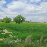 فروش-زمین-بر-جاده-شهید-کلانتری