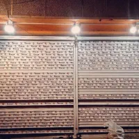 کرکره برقی و درو پنجره Upvc در مراغه (اقساطی )|فروشگاه و مغازه|مراغه, |دیوار