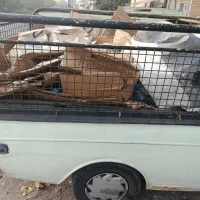 باربند طوری