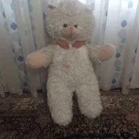 خرس|اسباب‌بازی بچه|مشهد, کوی دروی|دیوار