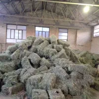 یونجه پرس شده خشک بدون علف انباری