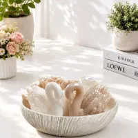 شات سنگی قوی عاشق