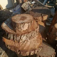 خرید چوب خشک سقفی و ضایعات باغی با بالاترین قیمت|خدمات باغبانی و درختکاری|زنجان, |دیوار