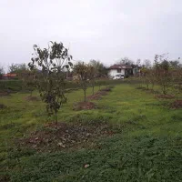 زمین-برا-خانه-باغ