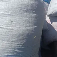 علف باغی.یونجه