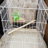 قفس پرنده