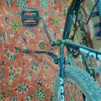 دوچرخه 24 آساک رینگ اسپرت فرمان کاوا|دوچرخه، اسکیت، اسکوتر|زابل, |دیوار