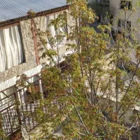 330متر-زمین-200-متر-زیر-بنا-در-دو-طبقه