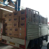 کامیونت آمیکو ۴،۵ تن مدل ۸۷|خودرو سنگین|اصفهان, شهرک امام خمینی|دیوار