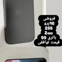 فقط تلفنی تماس گرفته شود