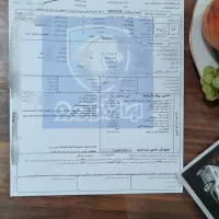۲۰۷دنده‌ای پانوراما مدل ۱۴۰۴ رینگ قیمت توافقی|خودرو سواری و وانت|خمینی‌شهر, |دیوار