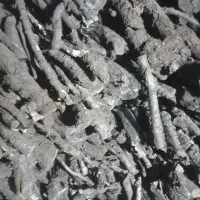 ذغال درجه یک