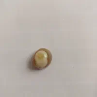 نگین انگشتر