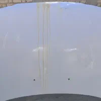 کاپوت فابریک سمند