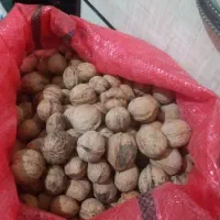 ۱۶ کیلو گردو اصل کاغذی آغمیون گردوی امساله