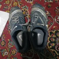 کفش تمپو اورجینال