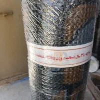 ایزوگام گورکانی