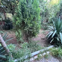 بهترین-خرید-وفروش-ملک