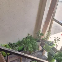 خونه ۱۶۰متری نمکوریا